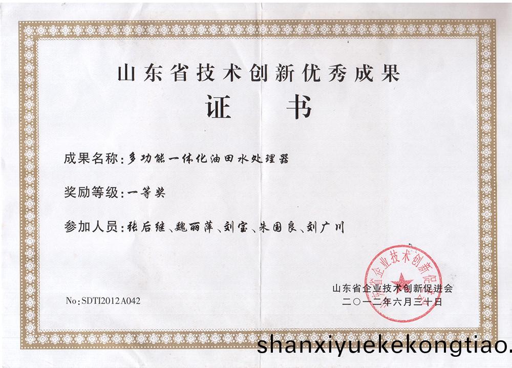 技(ji)術創(chuang)新(xin)一等(deng)獎(jiang).jpg